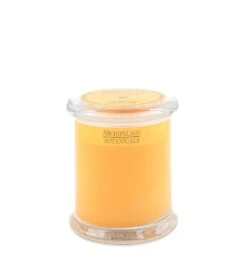 Archipelago Botanicals - Excursion Collection Glass Jar Candle 18 Archipelago Botanicals - Excursion Collection Glass Jar Candle -Care Product Store 11791 1600x 7848a210 a0a4 4ad4 a84d 3c58d642203a