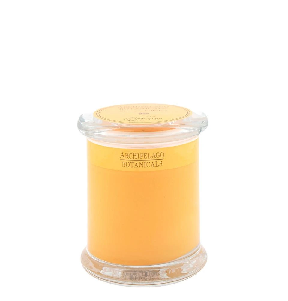 Archipelago Botanicals - Excursion Collection Glass Jar Candle 8 Archipelago Botanicals - Excursion Collection Glass Jar Candle - Image 6