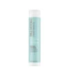 Paul Mitchell - Clean Beauty Hydrate Shampoo -Care Product Store PaulMitchell Clean Beauty Hydrate Shampoo 8.5oz