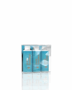 Pure Brazilian - Original Solution Mini Kit